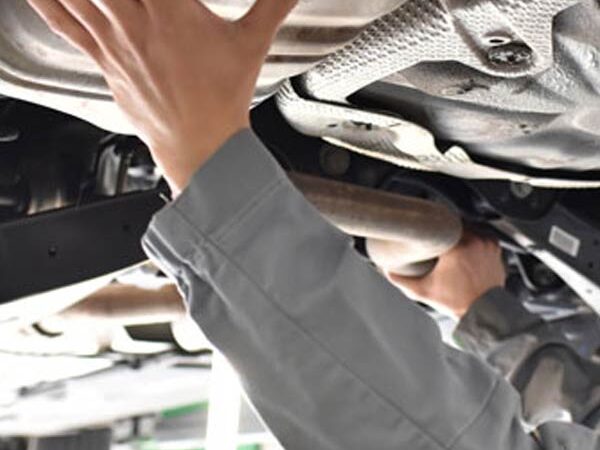 Dpf y egr off